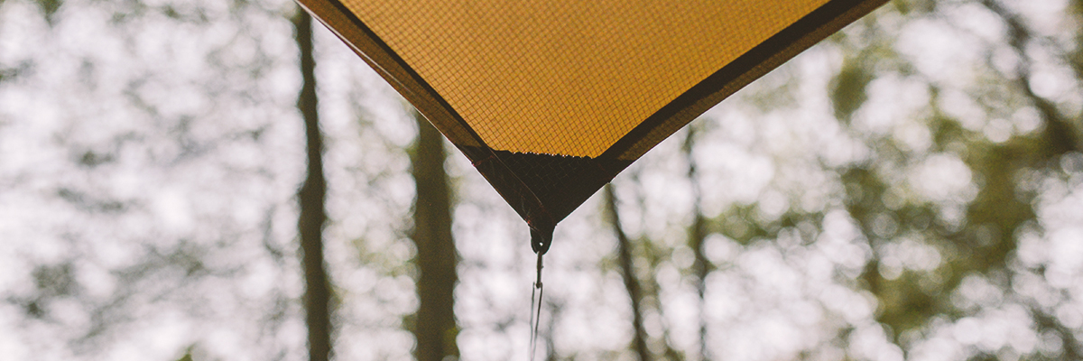 A stands steady in the foliage.